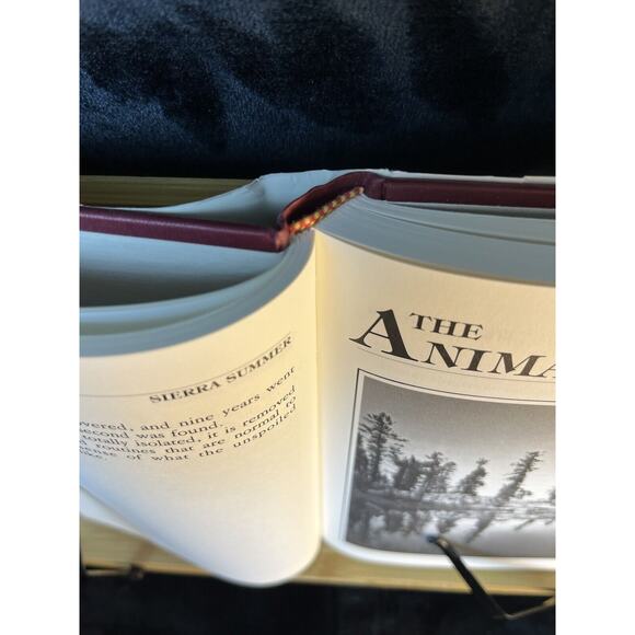 Sierra Summer by Mel Marshall Published in 1979 Hardcover First Edition - Picture 6 of 11